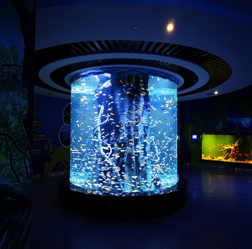 Últimas noticias de la empresa sobre Grandes acuarios de acrílico, un 