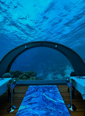 Buon prezzo Resistenza alle intemperie Resistenza alla corrosione finestra di visualizzazione subacquea per scenari di mare profondo in linea