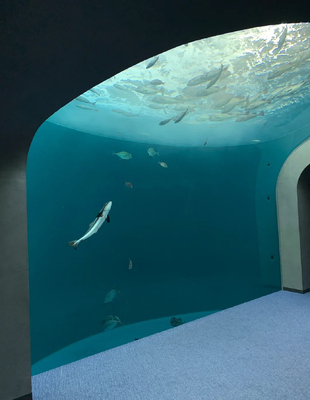 Bon prix Fenêtre d'observation sous-marine en PMMA de qualité militaire pour aquarium, résistance à la pression en ligne